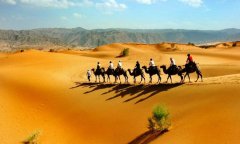 拓展项目：腾格里沙漠体验之旅